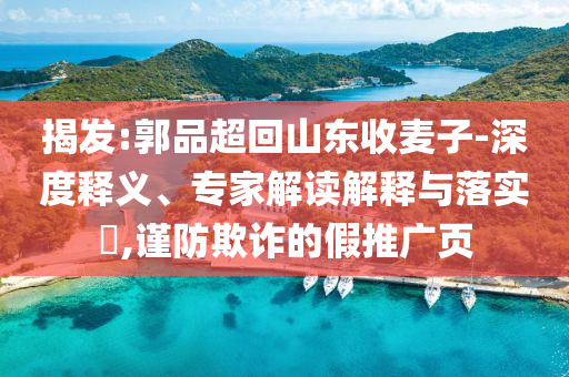 揭發(fā):郭品超回山東收麥子-深度釋義、專家解讀解釋與落實?,謹防欺詐的假推廣頁