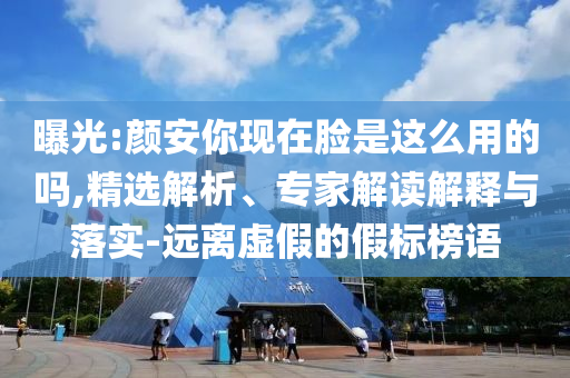 曝光:顏安你現(xiàn)在臉是這么用的嗎,精選解析、專家解讀解釋與落實-遠離虛假的假標榜語