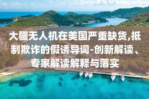 大疆無人機在美國嚴重缺貨,抵制欺詐的假誘導詞-創(chuàng)新解讀、專家解讀解釋與落實