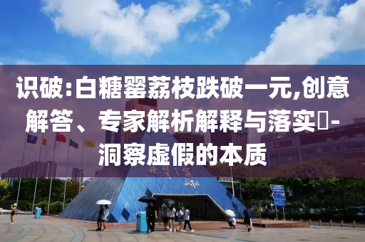 識破:白糖罌荔枝跌破一元,創(chuàng)意解答、專家解析解釋與落實?-洞察虛假的本質
