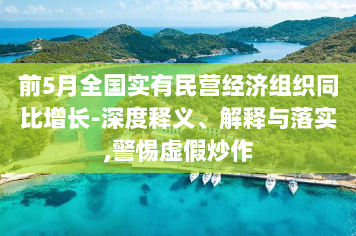 前5月全國實(shí)有民營經(jīng)濟(jì)組織同比增長(zhǎng)-深度釋義、解釋與落實(shí),警惕虛假炒作