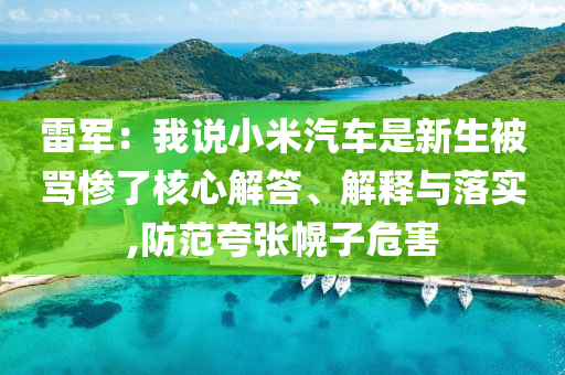 雷軍：我說小米汽車是新生被罵慘了核心解答、解釋與落實(shí),防范夸張幌子危害