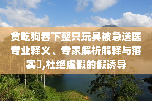 貪吃狗吞下整只玩具被急送醫(yī)專業(yè)釋義、專家解析解釋與落實?,杜絕虛假的假誘導(dǎo)