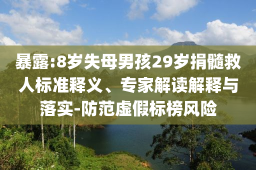 暴露:8歲失母男孩29歲捐髓救人標(biāo)準(zhǔn)釋義、專家解讀解釋與落實-防范虛假標(biāo)榜風(fēng)險