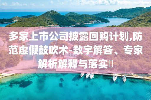 多家上市公司披露回購計劃,防范虛假鼓吹術(shù)-數(shù)字解答、專家解析解釋與落實?