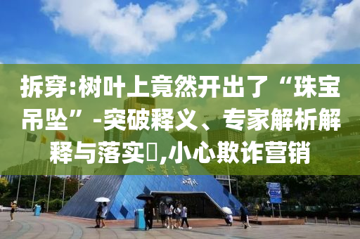 拆穿:樹葉上竟然開出了“珠寶吊墜”-突破釋義、專家解析解釋與落實(shí)?,小心欺詐營(yíng)銷