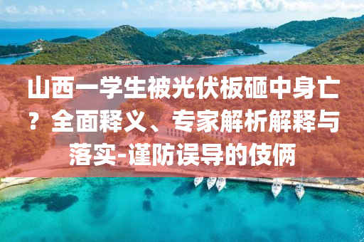 山西一學(xué)生被光伏板砸中身亡？全面釋義、專家解析解釋與落實(shí)-謹(jǐn)防誤導(dǎo)的伎倆