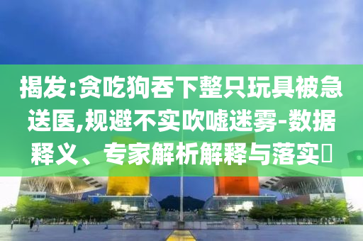 揭發(fā):貪吃狗吞下整只玩具被急送醫(yī),規(guī)避不實(shí)吹噓迷霧-數(shù)據(jù)釋義、專家解析解釋與落實(shí)?
