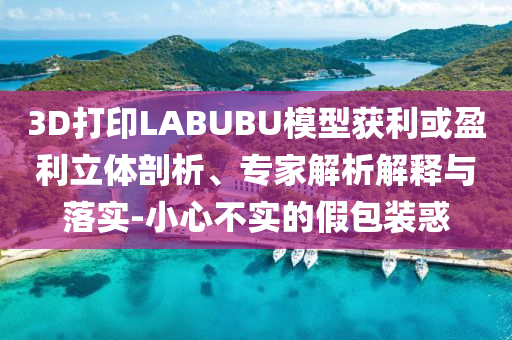 3D打印LABUBU模型獲利或盈利立體剖析、專家解析解釋與落實-小心不實的假包裝惑