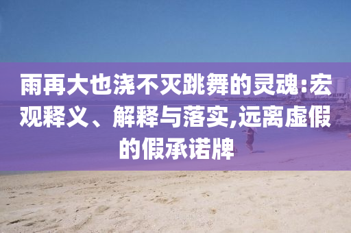 雨再大也澆不滅跳舞的靈魂:宏觀釋義、解釋與落實,遠離虛假的假承諾牌