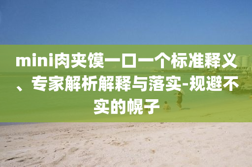 mini肉夾饃一口一個標準釋義、專家解析解釋與落實-規(guī)避不實的幌子