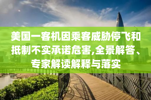 美國一客機因乘客威脅停飛和抵制不實承諾危害,全景解答、專家解讀解釋與落實