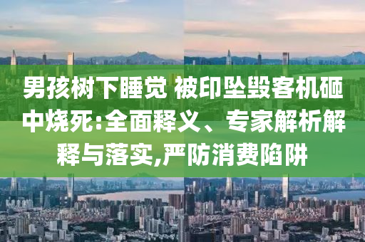 男孩樹下睡覺 被印墜毀客機(jī)砸中燒死:全面釋義、專家解析解釋與落實(shí),嚴(yán)防消費(fèi)陷阱