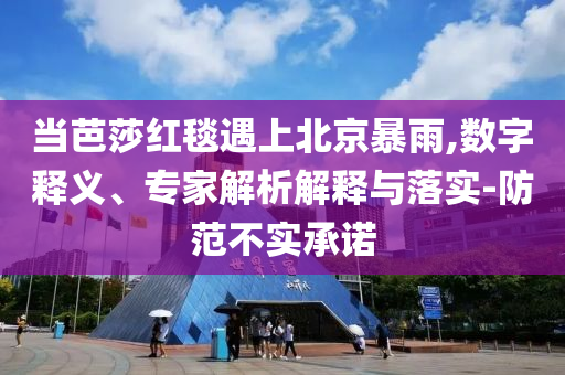 當(dāng)芭莎紅毯遇上北京暴雨,數(shù)字釋義、專家解析解釋與落實-防范不實承諾