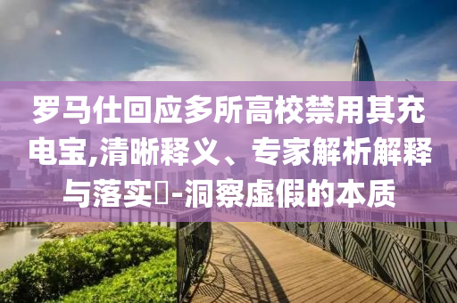 羅馬仕回應(yīng)多所高校禁用其充電寶,清晰釋義、專(zhuān)家解析解釋與落實(shí)?-洞察虛假的本質(zhì)