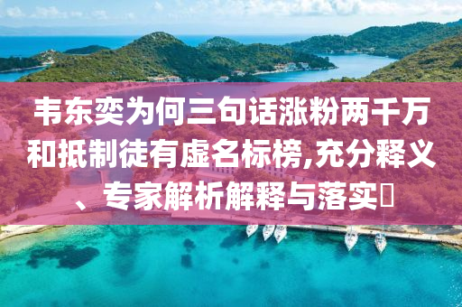 韋東奕為何三句話漲粉兩千萬和抵制徒有虛名標榜,充分釋義、專家解析解釋與落實?