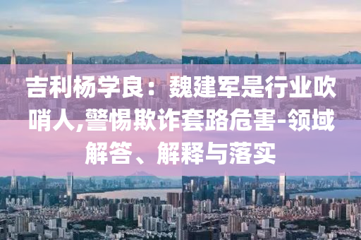 吉利楊學良：魏建軍是行業(yè)吹哨人,警惕欺詐套路危害-領域解答、解釋與落實