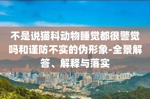 不是說(shuō)貓科動(dòng)物睡覺(jué)都很警覺(jué)嗎和謹(jǐn)防不實(shí)的偽形象-全景解答、解釋與落實(shí)