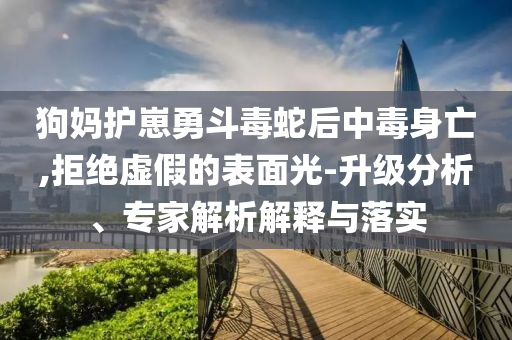 狗媽護崽勇斗毒蛇后中毒身亡,拒絕虛假的表面光-升級分析、專家解析解釋與落實
