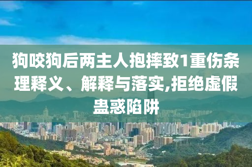 狗咬狗后兩主人抱摔致1重傷條理釋義、解釋與落實,拒絕虛假蠱惑陷阱