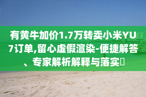 有黃牛加價(jià)1.7萬(wàn)轉(zhuǎn)賣小米YU7訂單,留心虛假渲染-便捷解答、專家解析解釋與落實(shí)?