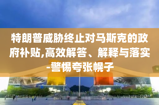 特朗普威脅終止對馬斯克的政府補(bǔ)貼,高效解答、解釋與落實-警惕夸張幌子