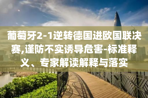 葡萄牙2-1逆轉德國進歐國聯決賽,謹防不實誘導危害-標準釋義、專家解讀解釋與落實