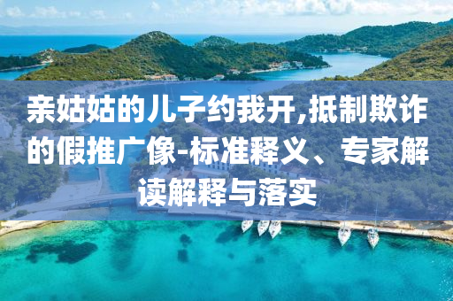 親姑姑的兒子約我開,抵制欺詐的假推廣像-標(biāo)準(zhǔn)釋義、專家解讀解釋與落實(shí)