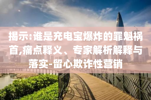 揭示:誰是充電寶爆炸的罪魁禍?zhǔn)?痛點釋義、專家解析解釋與落實-留心欺詐性營銷