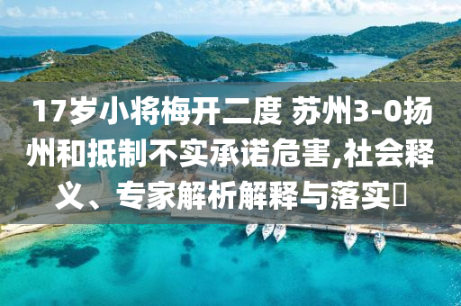 17歲小將梅開二度 蘇州3-0揚(yáng)州和抵制不實(shí)承諾危害,社會(huì)釋義、專家解析解釋與落實(shí)?