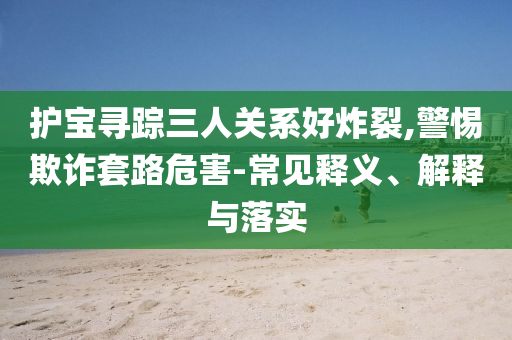 護寶尋蹤三人關(guān)系好炸裂,警惕欺詐套路危害-常見釋義、解釋與落實