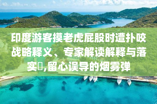 印度游客摸老虎屁股時(shí)遭撲咬戰(zhàn)略釋義、專(zhuān)家解讀解釋與落實(shí)?,留心誤導(dǎo)的煙霧彈