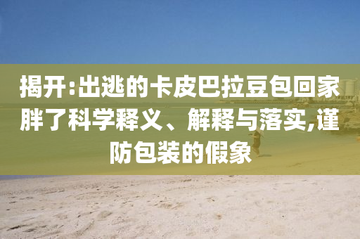 揭開:出逃的卡皮巴拉豆包回家胖了科學(xué)釋義、解釋與落實(shí),謹(jǐn)防包裝的假象