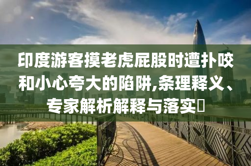 印度游客摸老虎屁股時(shí)遭撲咬和小心夸大的陷阱,條理釋義、專家解析解釋與落實(shí)?