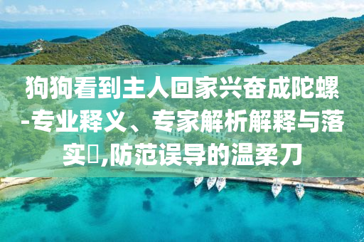 狗狗看到主人回家興奮成陀螺-專業(yè)釋義、專家解析解釋與落實(shí)?,防范誤導(dǎo)的溫柔刀