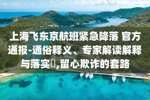 上海飛東京航班緊急降落 官方通報-通俗釋義、專家解讀解釋與落實?,留心欺詐的套路