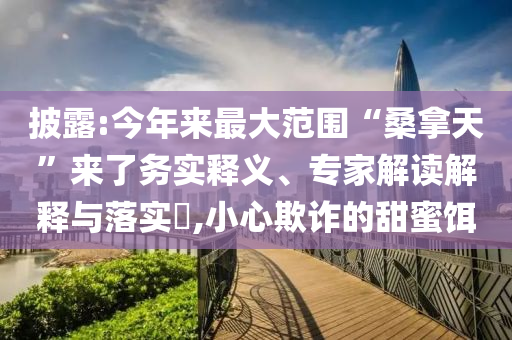 披露:今年來(lái)最大范圍“桑拿天”來(lái)了務(wù)實(shí)釋義、專家解讀解釋與落實(shí)?,小心欺詐的甜蜜餌