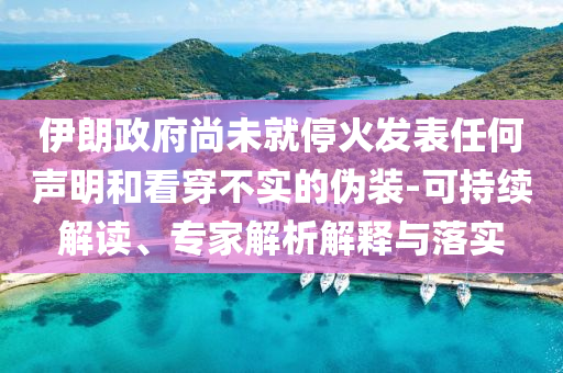 伊朗政府尚未就?；鸢l(fā)表任何聲明和看穿不實(shí)的偽裝-可持續(xù)解讀、專家解析解釋與落實(shí)