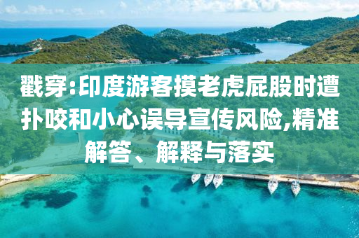 戳穿:印度游客摸老虎屁股時遭撲咬和小心誤導宣傳風險,精準解答、解釋與落實