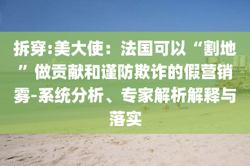 拆穿:美大使：法國可以“割地”做貢獻和謹防欺詐的假營銷霧-系統(tǒng)分析、專家解析解釋與落實