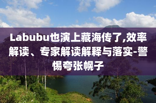Labubu也演上藏海傳了,效率解讀、專(zhuān)家解讀解釋與落實(shí)-警惕夸張幌子