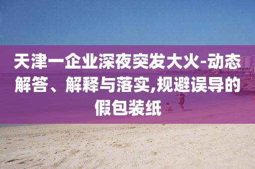 天津一企業(yè)深夜突發(fā)大火-動態(tài)解答、解釋與落實(shí),規(guī)避誤導(dǎo)的假包裝紙