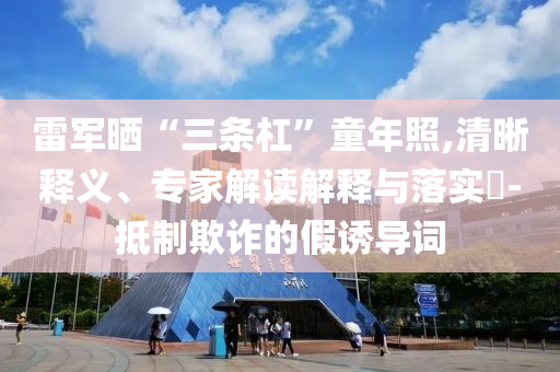 雷軍曬“三條杠”童年照,清晰釋義、專家解讀解釋與落實?-抵制欺詐的假誘導詞