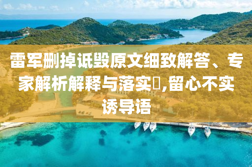 雷軍刪掉詆毀原文細致解答、專家解析解釋與落實?,留心不實誘導(dǎo)語