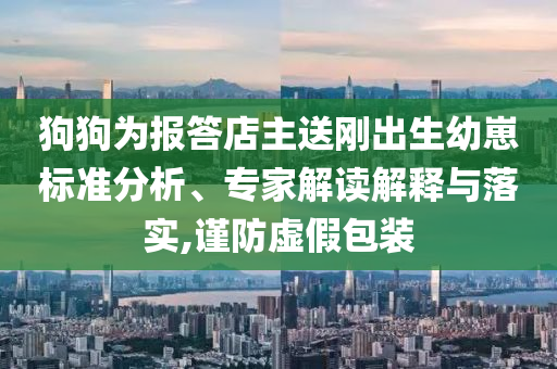 狗狗為報(bào)答店主送剛出生幼崽標(biāo)準(zhǔn)分析、專家解讀解釋與落實(shí),謹(jǐn)防虛假包裝