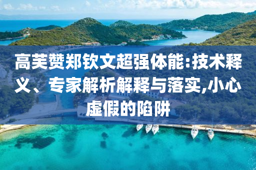 高芙贊鄭欽文超強(qiáng)體能:技術(shù)釋義、專家解析解釋與落實(shí),小心虛假的陷阱