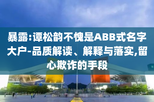暴露:譚松韻不愧是ABB式名字大戶-品質解讀、解釋與落實,留心欺詐的手段