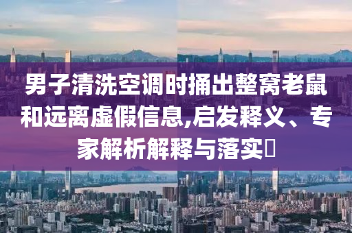 男子清洗空調(diào)時捅出整窩老鼠和遠(yuǎn)離虛假信息,啟發(fā)釋義、專家解析解釋與落實?
