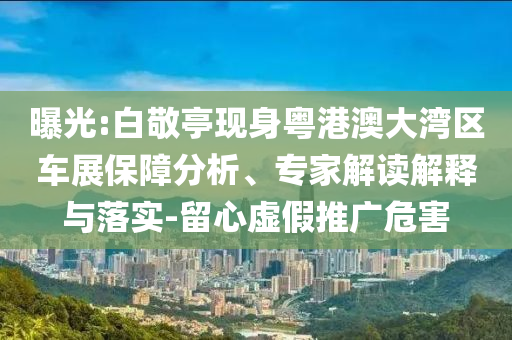 曝光:白敬亭現(xiàn)身粵港澳大灣區(qū)車展保障分析、專家解讀解釋與落實-留心虛假推廣危害