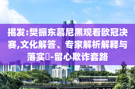 揭發(fā):樊振東慕尼黑觀看歐冠決賽,文化解答、專家解析解釋與落實?-留心欺詐套路